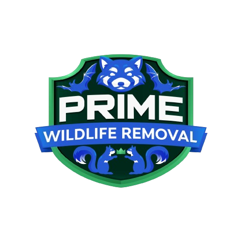 Wildlife Removal Swan Creek Township